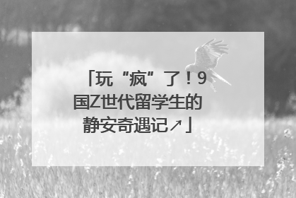 玩“疯”了！9国Z世代留学生的静安奇遇记↗