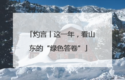灼言丨这一年，看山东的“绿色答卷”