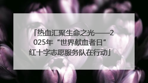 热血汇聚生命之光——2025年“世界献血者日”红十字志愿服务队在行动