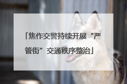 焦作交警持续开展“严管街”交通秩序整治