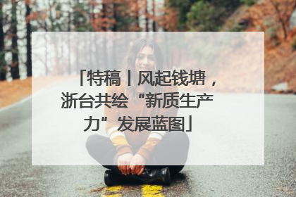 特稿丨风起钱塘，浙台共绘“新质生产力”发展蓝图