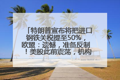 特朗普宣布将把进口钢铁关税提至50%，欧盟：遗憾，准备反制！美股此前震荡，机构：美元正进入熊市