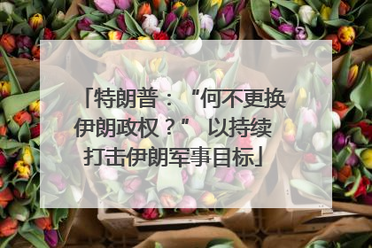 特朗普：“何不更换伊朗政权？” 以持续打击伊朗军事目标