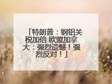 特朗普：钢铝关税加倍 欧盟加拿大：强烈遗憾！强烈反对！