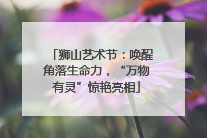 狮山艺术节：唤醒角落生命力，“万物有灵”惊艳亮相