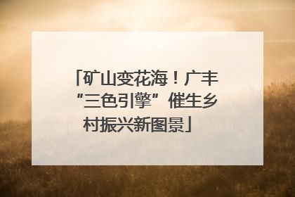 矿山变花海！广丰“三色引擎”催生乡村振兴新图景