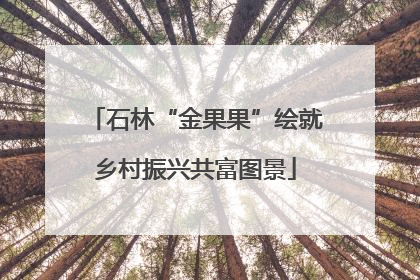 石林“金果果”绘就乡村振兴共富图景