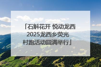 石斛花开 悦动龙西 2025龙西乡荧光村跑活动圆满举行