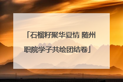 石榴籽聚华夏情 随州职院学子共绘团结卷