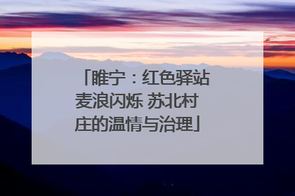 睢宁：红色驿站麦浪闪烁 苏北村庄的温情与治理