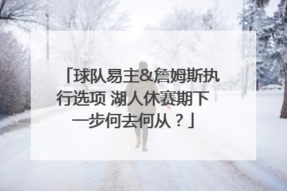 球队易主&詹姆斯执行选项 湖人休赛期下一步何去何从？
