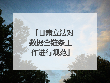 甘肃立法对数据全链条工作进行规范