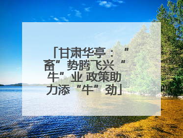 甘肃华亭：“畜”势腾飞兴“牛”业 政策助力添“牛”劲