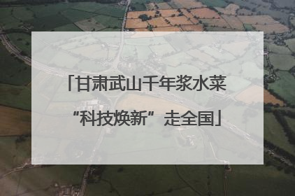 甘肃武山千年浆水菜“科技焕新”走全国
