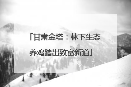 甘肃金塔：林下生态养鸡踏出致富新道