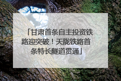 甘肃首条自主投资铁路迎突破！天陇铁路首条特长隧道贯通