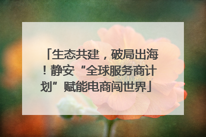 生态共建，破局出海！静安“全球服务商计划”赋能电商闯世界
