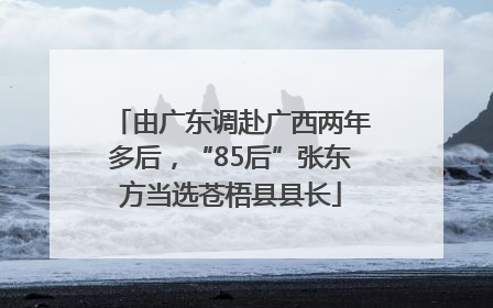 由广东调赴广西两年多后，“85后”张东方当选苍梧县县长