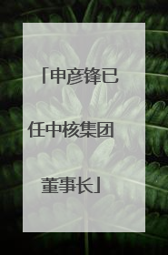申彦锋已任中核集团董事长