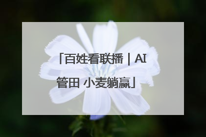 百姓看联播｜AI管田 小麦躺赢