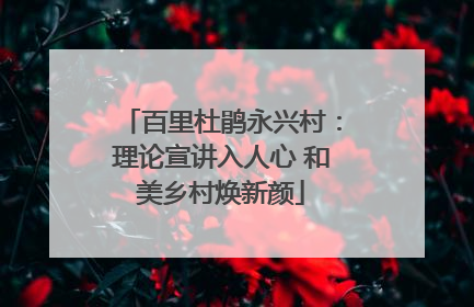 百里杜鹃永兴村：理论宣讲入人心 和美乡村焕新颜