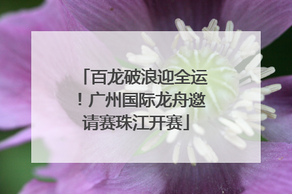 百龙破浪迎全运！广州国际龙舟邀请赛珠江开赛