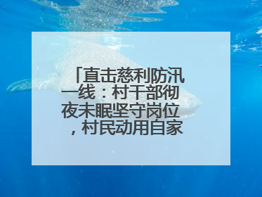 直击慈利防汛一线：村干部彻夜未眠坚守岗位，村民动用自家船协助转移
