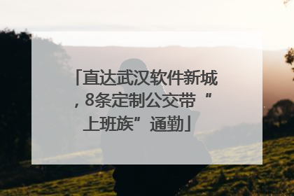 直达武汉软件新城，8条定制公交带“上班族”通勤
