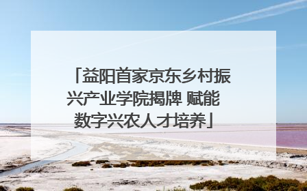 益阳首家京东乡村振兴产业学院揭牌 赋能数字兴农人才培养