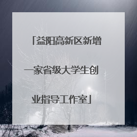 益阳高新区新增一家省级大学生创业指导工作室