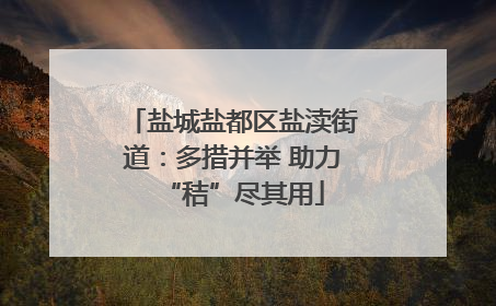 盐城盐都区盐渎街道：多措并举 助力“秸”尽其用
