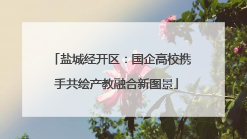 盐城经开区：国企高校携手共绘产教融合新图景