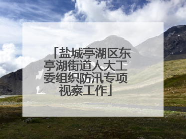 盐城亭湖区东亭湖街道人大工委组织防汛专项视察工作