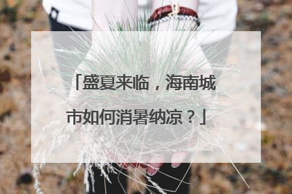 盛夏来临，海南城市如何消暑纳凉？