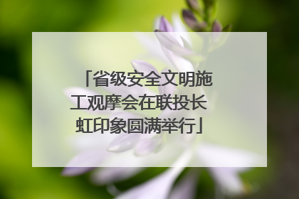 省级安全文明施工观摩会在联投长虹印象圆满举行