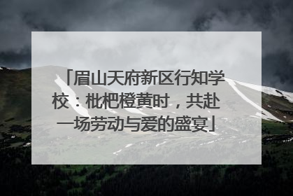 眉山天府新区行知学校：枇杷橙黄时，共赴一场劳动与爱的盛宴