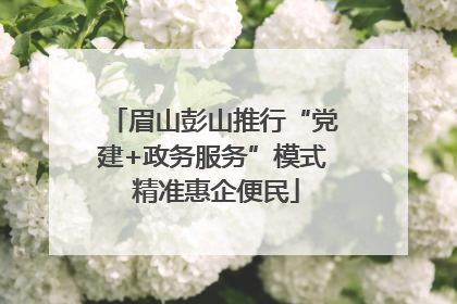 眉山彭山推行“党建+政务服务”模式 精准惠企便民