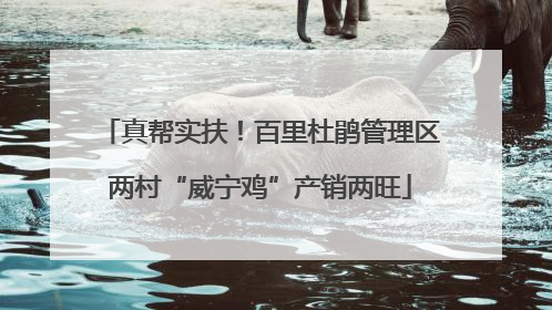 真帮实扶！百里杜鹃管理区两村“威宁鸡”产销两旺