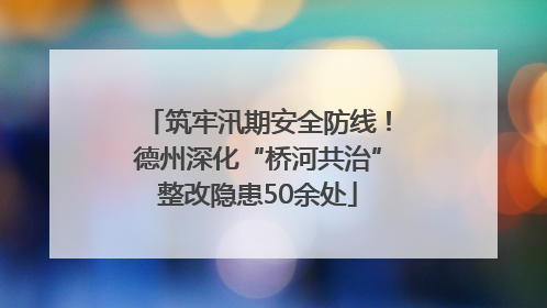 筑牢汛期安全防线！德州深化“桥河共治”整改隐患50余处