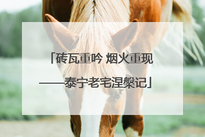 砖瓦重吟 烟火重现——泰宁老宅涅槃记