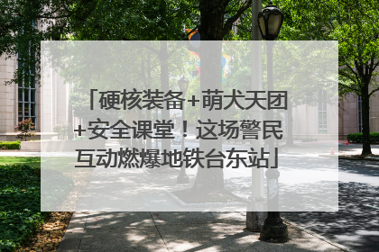 硬核装备+萌犬天团+安全课堂！这场警民互动燃爆地铁台东站