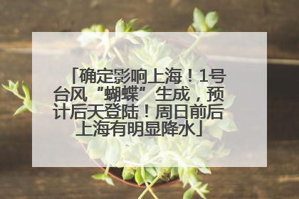 确定影响上海！1号台风“蝴蝶”生成，预计后天登陆！周日前后上海有明显降水
