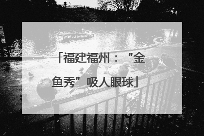 福建福州：“金鱼秀”吸人眼球