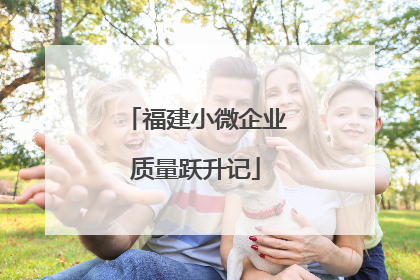 福建小微企业质量跃升记
