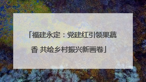 福建永定：党建红引领果蔬香 共绘乡村振兴新画卷