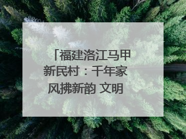 福建洛江马甲新民村：千年家风拂新韵 文明之花绽乡野