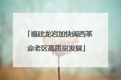 福建龙岩加快闽西革命老区高质量发展