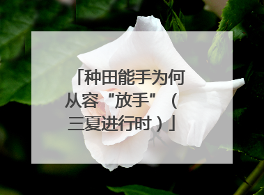 种田能手为何从容“放手”（三夏进行时）