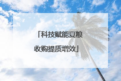 科技赋能夏粮收购提质增效