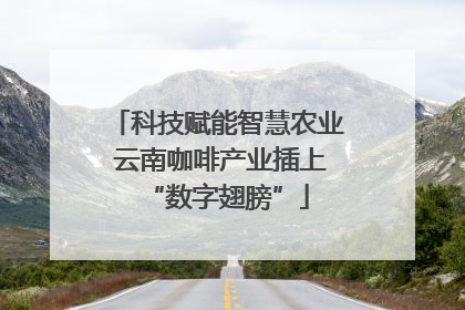 科技赋能智慧农业 云南咖啡产业插上“数字翅膀”